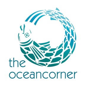 The Ocean Corner